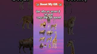 Top 10 GK Questions in Hindi 2025 🤔 | General Knowledge Quiz | Daily GK Facts #shorts #gk #facts