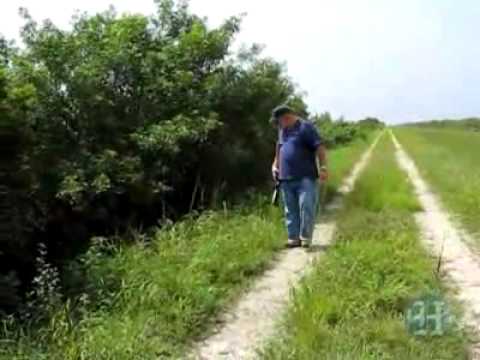 Special python hunting season begins in Everglades   Miami Dade Breaking News