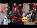 See How The Most FRIENDLIEST King&#39;s Horse Reacts To Tourists❤️
