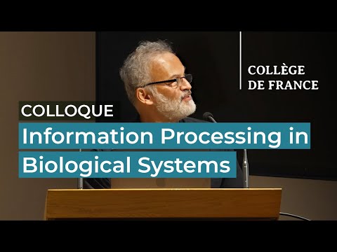 Information Processing in Biological Systems (6) - Thomas Lecuit (2024-2025)
