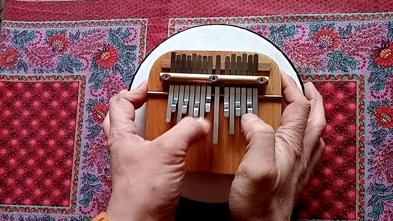 Sanzadrum SD15+ par Atelier-malopelli.com