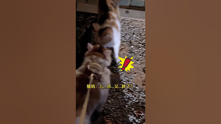 妈妈的牵挂终是长成了半挂。女生带长大了的小猫去看猫妈妈，猫妈妈飞奔来见自己的孩子。 #画画 #猫咪 #世界不能没有猫猫