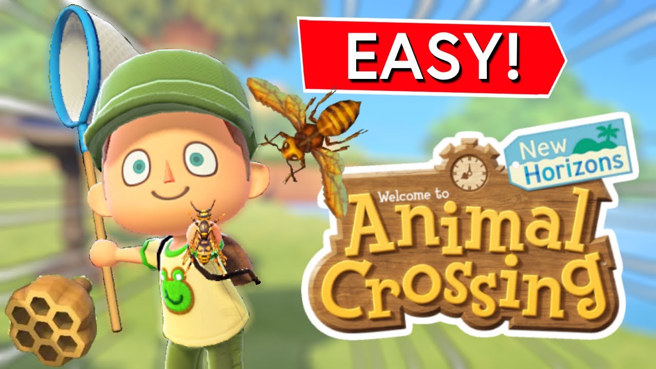 How to Catch WASPS EASY + More! â€¢ Animal Crossing: New Horizons - YouTube