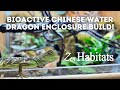 Bioactive Chinese Water Dragon Enclosure Build: Zen Habitats