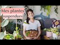 Plantes Tour : toutes mes plantes en suspensions