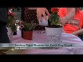 Senior citizens plant flowers for Earth Day celebration
