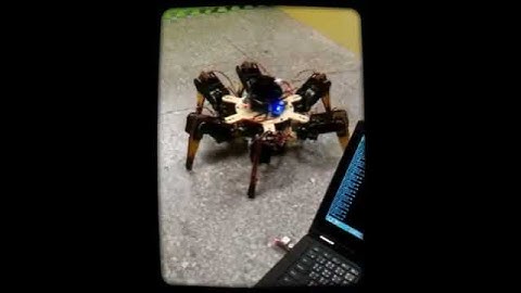 Hexapod with Visual Obstacle Avoidance   (Created with Magi