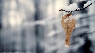 &quot;Музыка падающего снега&quot;✔