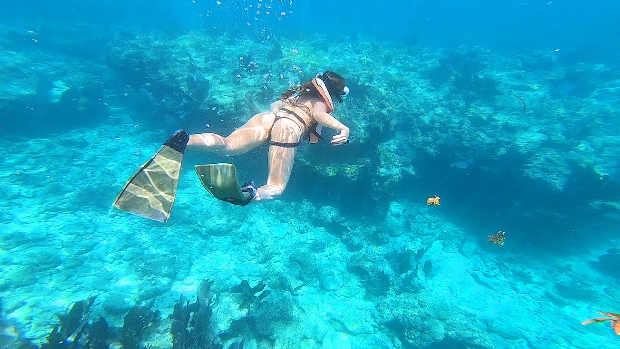 Plonge en apne  Key West Floride troisime plus grand rcif corallien au monde