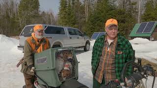 Snowshoe Hare Camp Day 2 (March 21, 2023) by B**S**** Beagle Club 134 views 10 months ago 8 minutes, 11 seconds