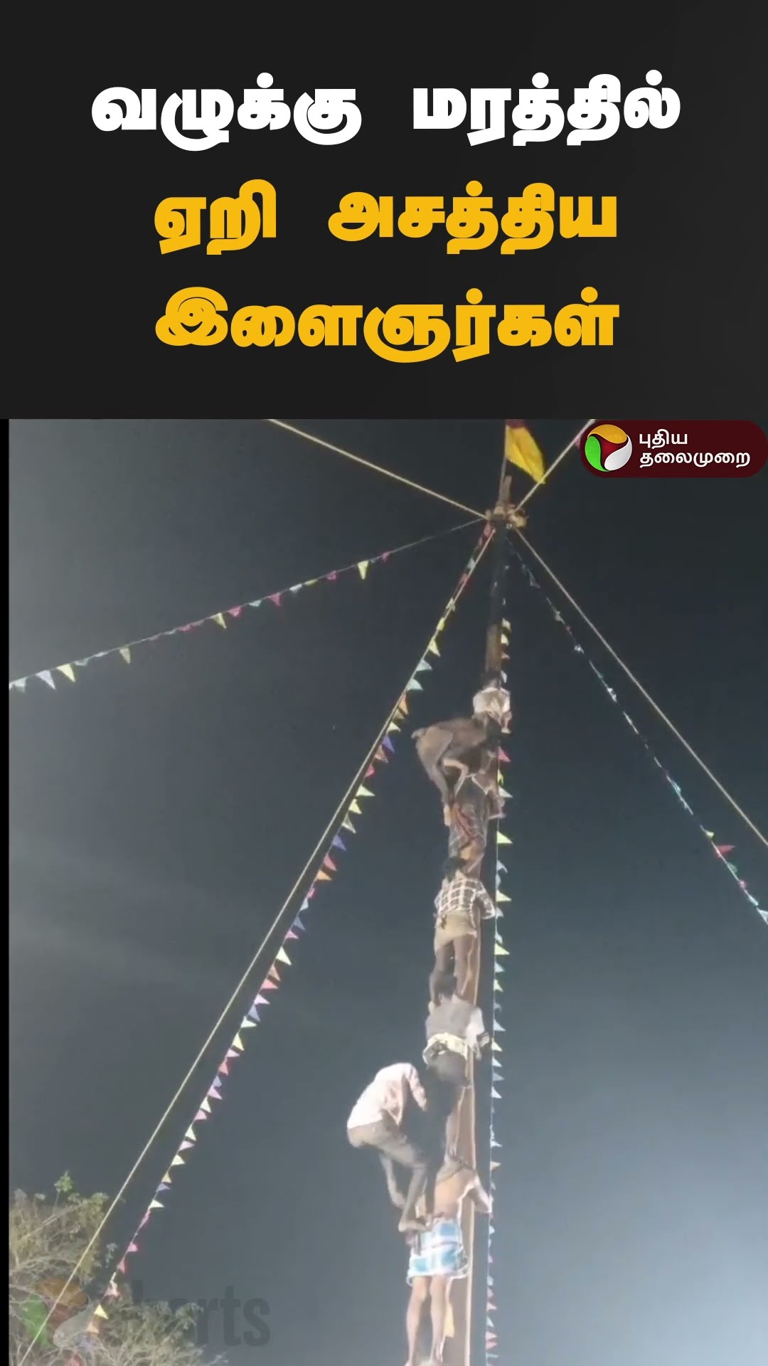 வழுக்கு மரத்தில் ஏறி அசத்திய இளைஞர்கள் | #shorts | #pudukottai