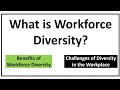 What is workforce diversity benefits of workforce diversitychallenges of diversity