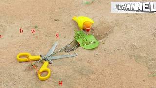 How To Make A Simple Bird Trap Using Cutter - Diy Simple Bird Trap Work 100% Good
