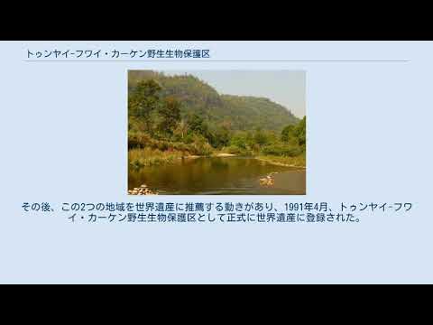 トゥンヤイフワイ・カーケン野生生物保護区 YouTube
