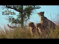 WildEarth - Sunrise Safari - 14 July 2020