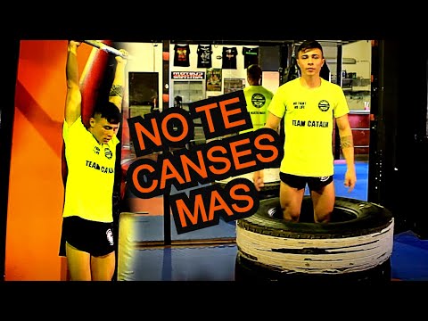 Circuito de entrenamiento para Artes Marciales / MMA