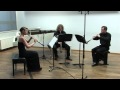 Ludwig van Beethoven - Trio C-duur op 87 (I Allegro)