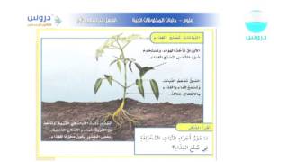 حاجات المخلوقات الحية