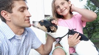 New Family Dog
