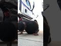 50 Shortie Push-ups at Work!!! #Health #Wealth #MentalHealth #Pushup
