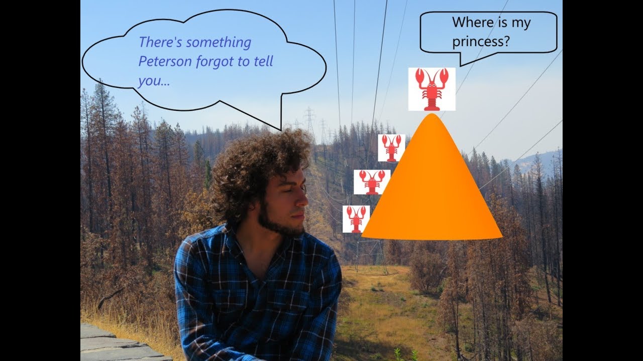 How Peterson tails Dating Apocalypse, from Gangnam Style to Despacito