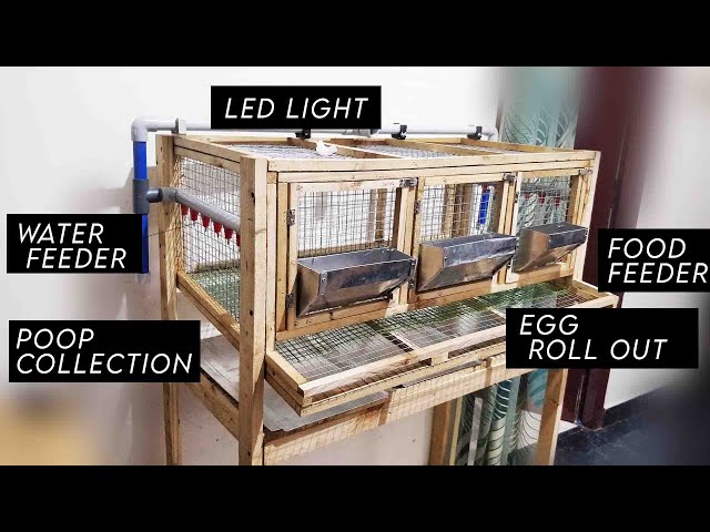 Ridiculously efficient quail cage that addresses all your woes! class=