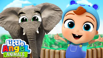 Baby John Visits The Zoo! (Zoo Song) | Fun Animal Sing Along Songs by Little Angel Animals