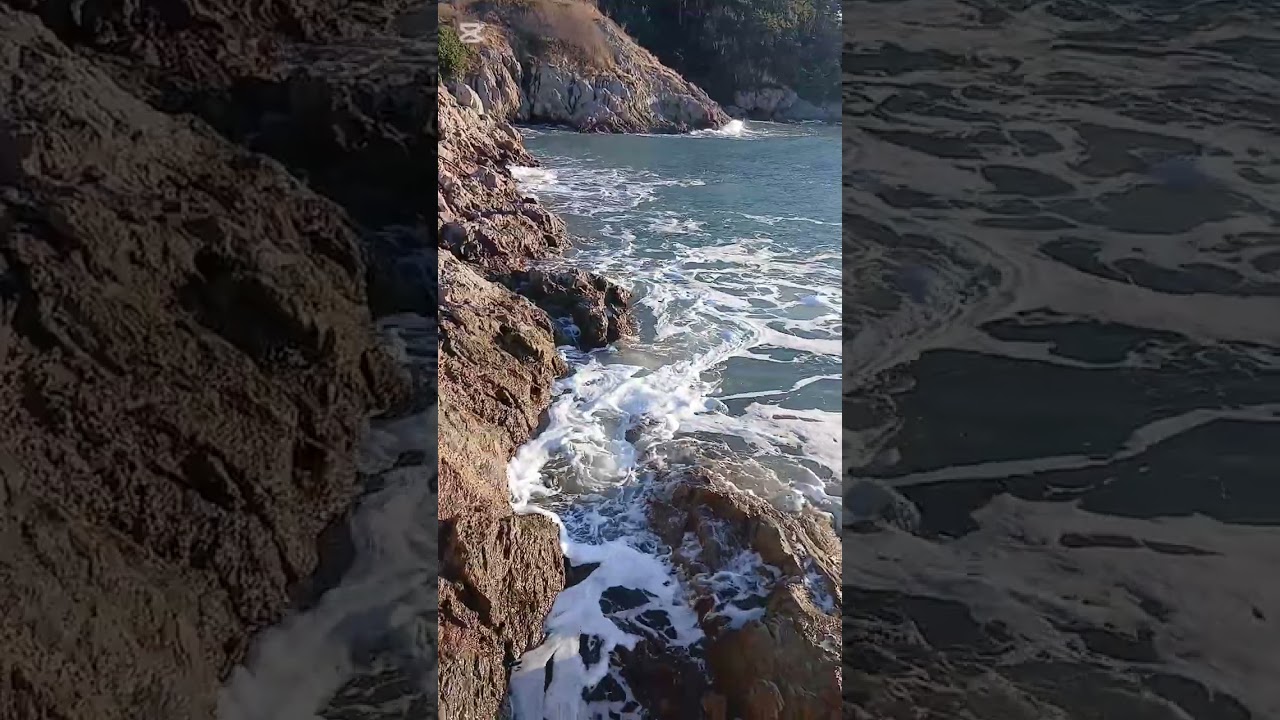 the sound of wave in the westcoast(1)
