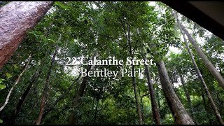 Bespoke, Brand-New Rainforest Sanctuary | 3,764m² of Pure Privacy | Must Be SOLD at Auction screenshot 5