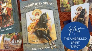 Flip Through the Cards of the Unbridled Spirit Tarot