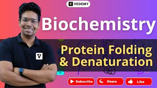 Protein Folding & Denaturation | Biochemisty | By Virendra Singh | CSIR | GATE | DBT | ICMR | CUET |
