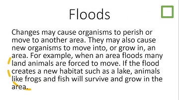 3.9C 3rd grade Science Changes in Ecosystems