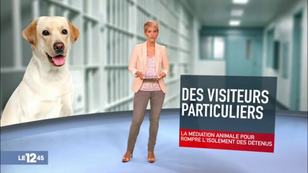 Médiation animale en prison à Angoulême - AMAREE au JT du 12/45 de M6