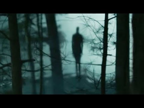 არსება ტყეში - საშიში ანიმაცია #16