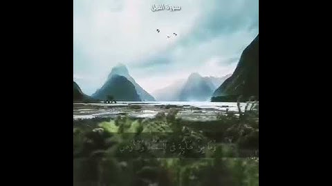 سورة النمل آية 73