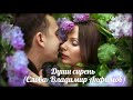 Дмитрий Шабанов - Души сирень (Слова: Владимир Анфимов)