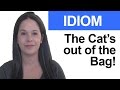 IDIOM - The Cat's out of the Bag - American English