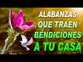 ALABANZAS PARA EXPULSAR TODO MAL DE TU VIDA- MÚSICA CRISTIANA PARA EMPEZAR EL DÍA DE LA MANO DE DIOS