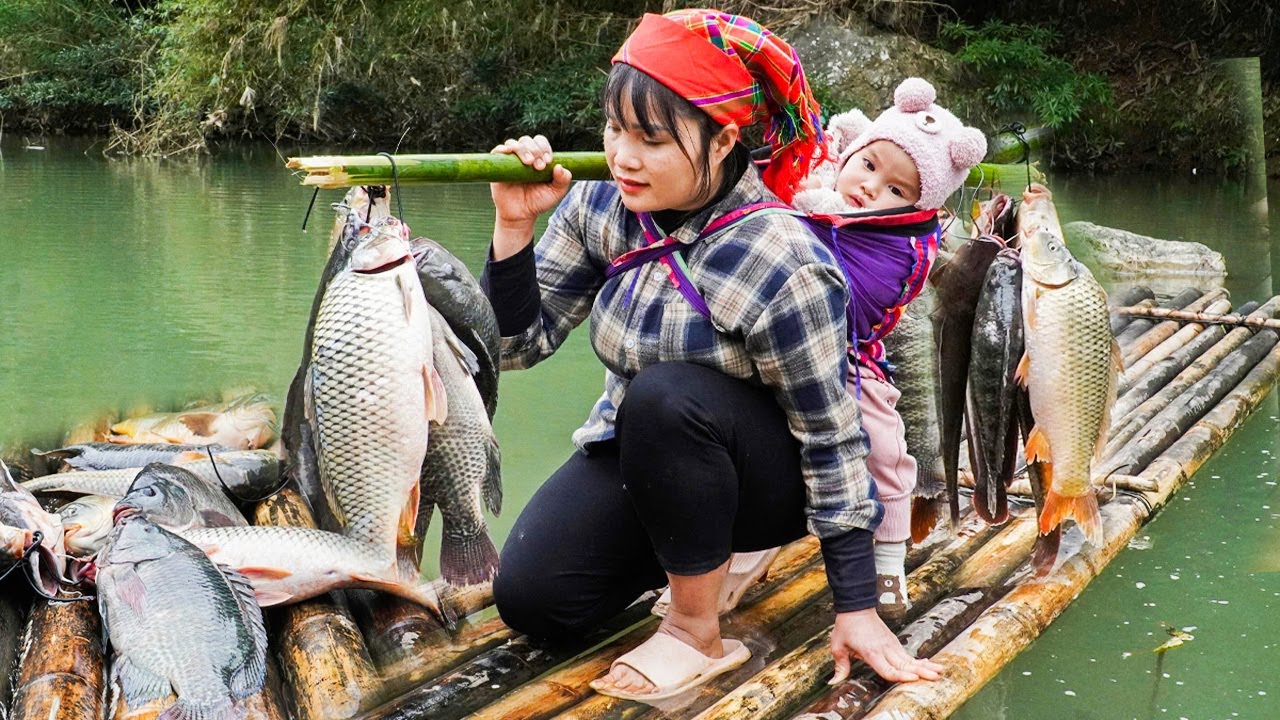 Single mother catches giant 30kg fish in its natural habitat in the forest - go to market to sell.
