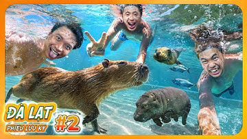 𝐓𝐨𝐧𝐲 | Dẫn Team Đi Thăm 𝐂𝐀𝐏𝐘𝐁𝐀𝐑𝐀 😍