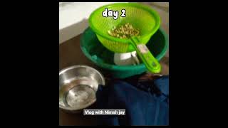 Mung beans sprouts.මුං ඇට පැළ. #food #growth #green #grow #experiment #vlog #trending #reels #short