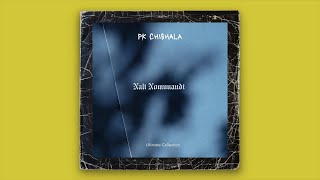 PK Chishala - Umunandi (Official Audio)