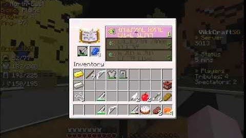 Vikkcraft Hacker Report [No.55]