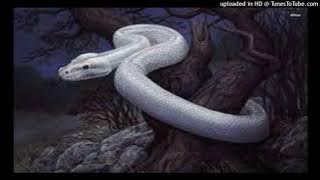 Danmbala Wedo Bon Papa Vodou