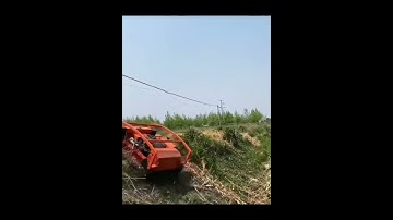 Máy cắt cỏ điều khiển từ xa máy làm cỏ nông nghiệp #automobile #farming #agriculture #excavator