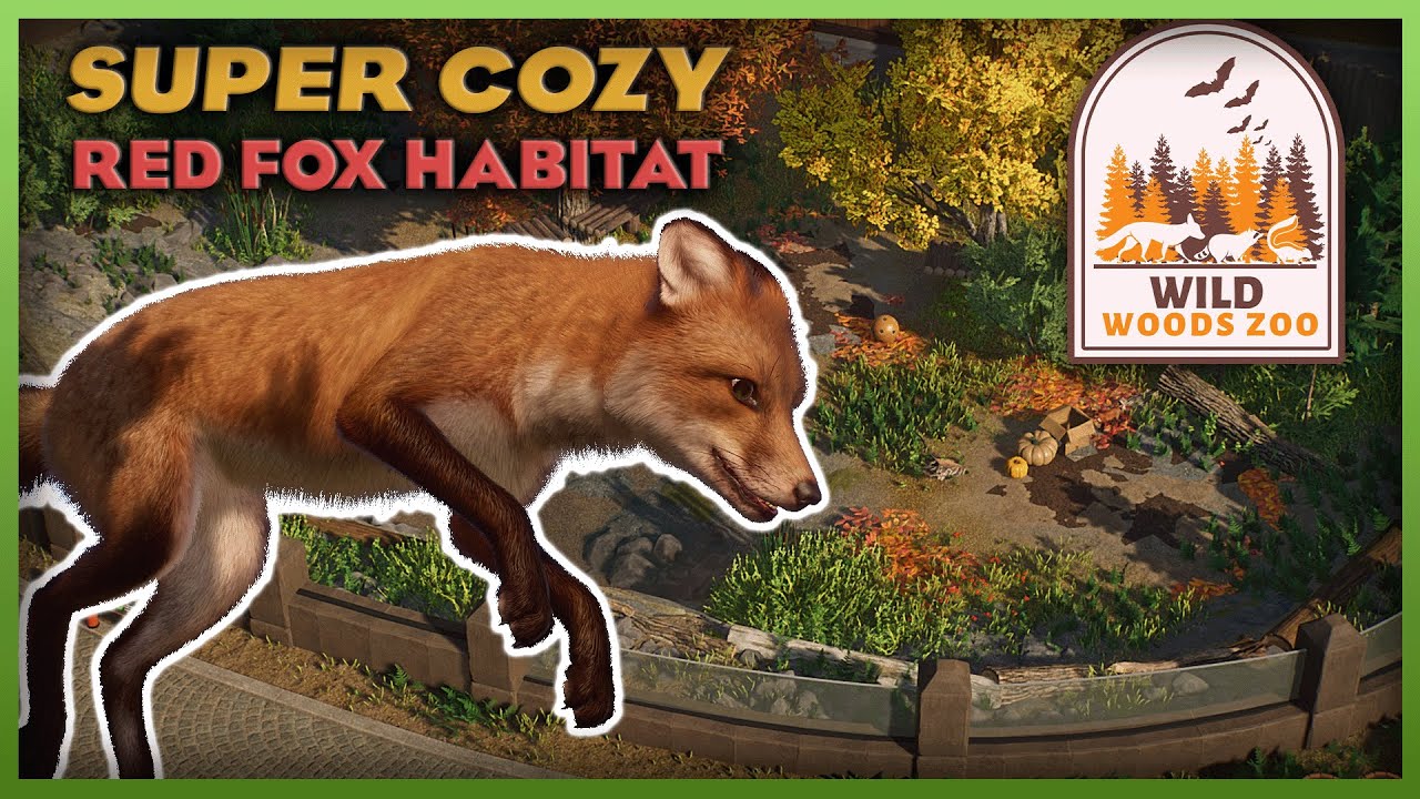 Super Cozy Red Fox Habitat! | Wild Woods Zoo | Zoo Twilight - YouTube