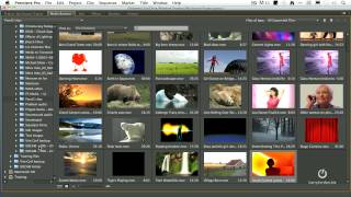 Celebrity Pt 3 of 9 - Intro to Quick Start to Editing in Adobe Premiere Pro CS6 - Workspace Wealth