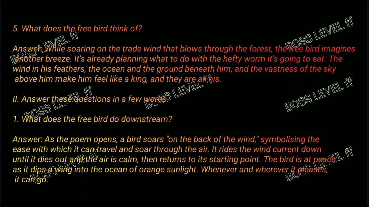 caged-bird-chapter-8-alternative-english-class-11-youtube