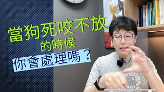 當狗死咬不放的時候該怎麼辦？兩隻狗打架死咬不放的時候？帶狗去寵物展好嗎？寵物展狗咬狗事件。台中寵物展 by 戴更基醫師 17,822 views 1 year ago 4 minutes, 42 seconds