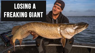 LOSING a GIGANTIC pike